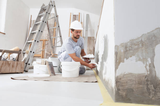 Best Commercial Mold Inspection  in Spring Lake Heights, NJ