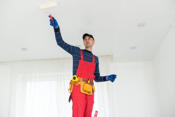 Best Industrial Mold Remediation  in Spring Lake Heights, NJ
